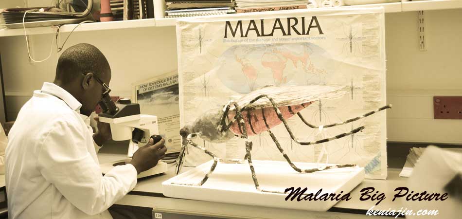 "Swiss Malaria Photo Contest - 2013 "